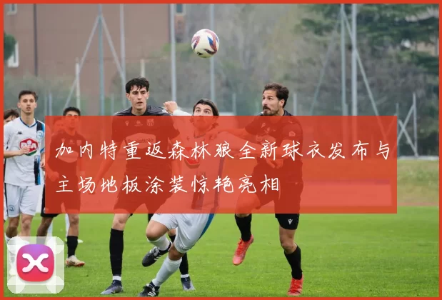 加内特重返森林狼全新球衣发布与主场地板涂装惊艳亮相